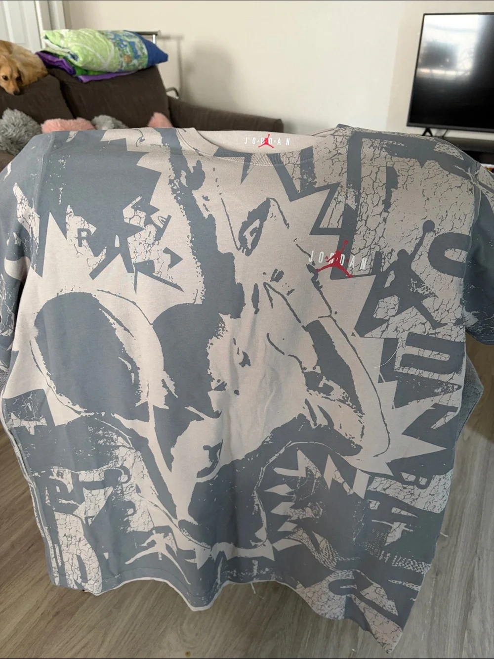 Jordan Short Sleeve Graphic Tee in Gray with Red Jumpman